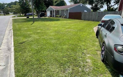 Photo of Anh S.'s yard after getting lawn care in Waynesboro, VA