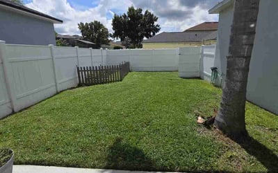 Photo of Ana C.'s yard after getting lawn care in Saint Cloud, FL