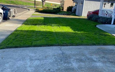 Photo of Elizabeth A.'s yard after getting lawn care in Oregon, OH