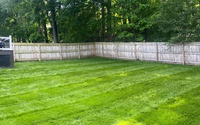 Photo of Kyle M.'s yard after getting lawn care in Mogadore, OH