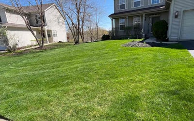 Photo of Ryan M.'s yard after getting lawn care in Round Lake, IL