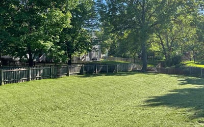 Photo of Jerry W.'s yard after getting lawn care in Prairie Village, KS