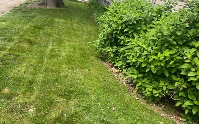Photo of Debby J.'s yard after getting lawn care in Foxboro, MA