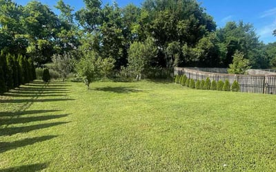 Photo of Joseph R.'s yard after getting lawn care in Wethersfield, CT