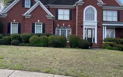 Photo of Carol T.'s yard after getting lawn care in Van Nuys, CA