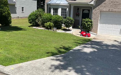 Photo of Cathy M.'s yard after getting lawn care in Schererville, IN