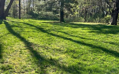 Photo of Kathy S.'s yard after getting lawn care in Oxford, OH