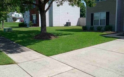 Photo of Glenn S.'s yard after getting lawn care in Iron Station, NC