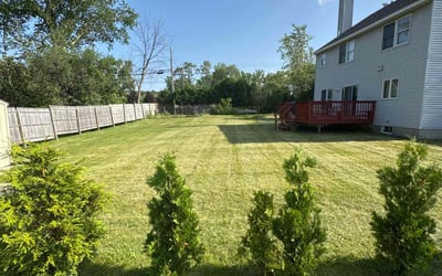 Photo of Michelle B.'s yard after getting lawn care in Upper Darby, PA