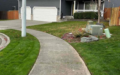 Photo of Lala S.'s yard after getting lawn care in Marysville, WA
