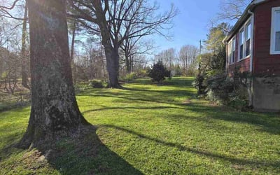 Photo of Lawrence N.'s yard after getting lawn care in Travelers Rest, SC