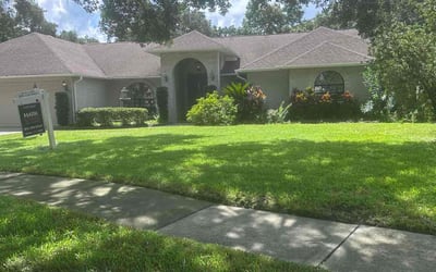 Photo of Sandra S.'s yard after getting lawn care in Manhattan Beach, CA