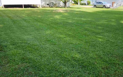 Photo of Amanda B.'s yard after getting lawn care in Ocala, FL