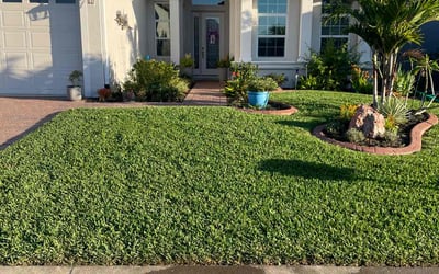 Photo of Brian F.'s yard after getting lawn care in Far Rockaway, NY