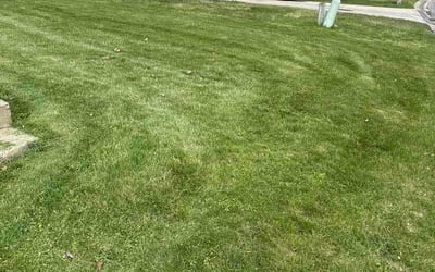 Photo of Christopher R.'s yard after getting lawn care in Riverside, IL