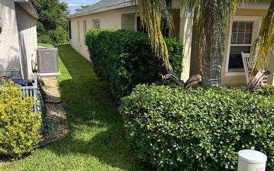 Photo of Scott V.'s yard after getting lawn care in Windham, ME