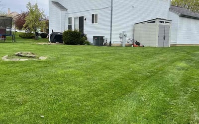 Photo of Ana R.'s yard after getting lawn care in Round Lake Beach, IL