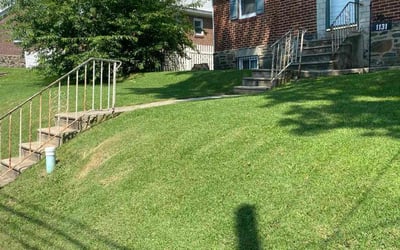 Photo of James P.'s yard after getting lawn care in Wayne, PA