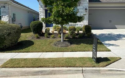 Photo of Rachel N.'s yard after getting lawn care in San Marcos, TX