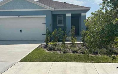 Photo of Michael N.'s yard after getting lawn care in Naples, FL