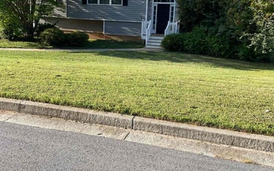 Photo of Anthony S.'s yard after getting lawn care in Dallas, GA