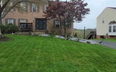 Photo of Laura C.'s yard after getting lawn care in Oakdale, PA