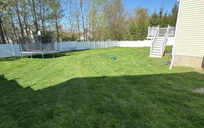 Photo of Karen W.'s yard after getting lawn care in Middletown, NY