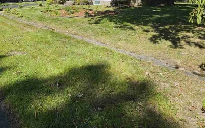 Photo of Mary-Lou T.'s yard after getting lawn care in Gardner, MA