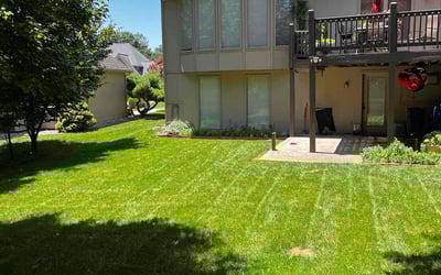 Photo of Adam J.'s yard after getting lawn care in Brunswick, OH