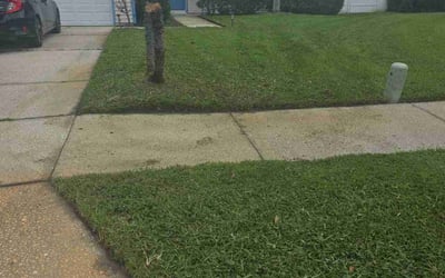 Photo of Matt M.'s yard after getting lawn care in Lancaster, NY