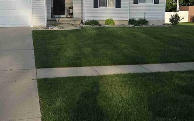 Photo of Xihong Y.'s yard after getting lawn care in Linden, MI