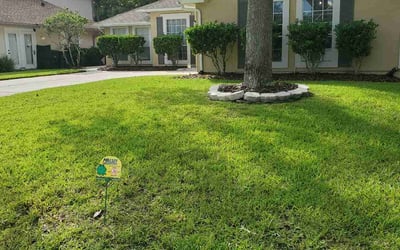 Photo of Farrisa I.'s yard after getting lawn care in Winter Haven, FL