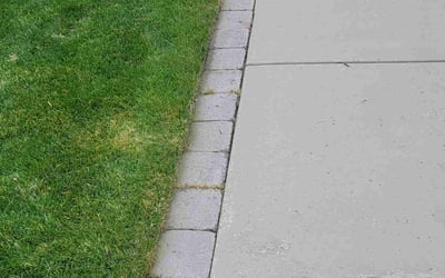 Photo of Holly F.'s yard after getting lawn care in Colville, WA