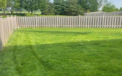 Photo of Geraldine b.'s yard after getting lawn care in Montgomery, IL