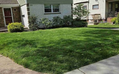 Photo of Donna F.'s yard after getting lawn care in Newton, NJ