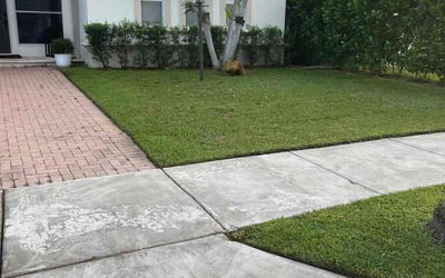 Photo of Will C.'s yard after getting lawn care in McKinney, TX