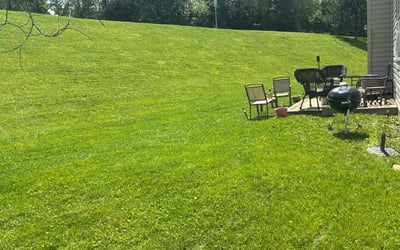 Photo of Edward B.'s yard after getting lawn care in Clayton, NC