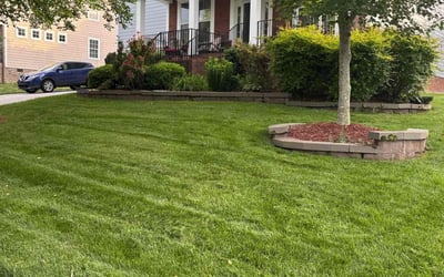 Photo of Tajuana P.'s yard after getting tree care in Lorton, VA