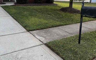 Photo of Ellie H.'s yard after getting lawn care in Parrish, FL