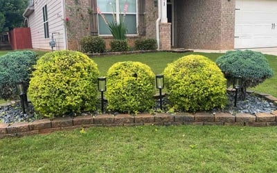 Photo of David A.'s yard after getting lawn care in Abington, MA
