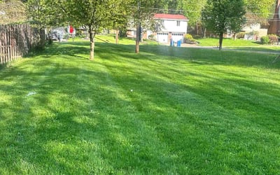 Photo of Carolyn B.'s yard after getting lawn care in Plum, PA