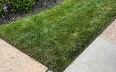 Photo of Anna P.'s yard after getting lawn care in Manassas, VA