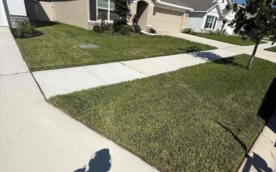 Photo of Dolores W.'s yard after getting lawn care in Hartselle, AL