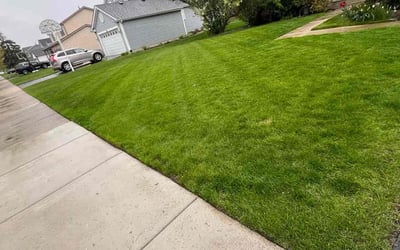 Photo of Nichole H.'s yard after getting lawn care in Wheeling, IL