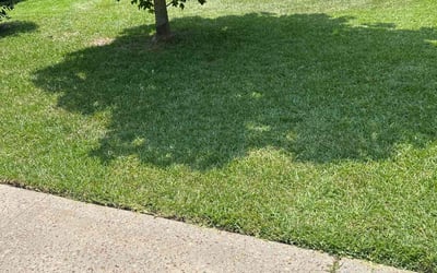 Photo of Deonte H.'s yard after getting lawn care in Tallahassee, FL