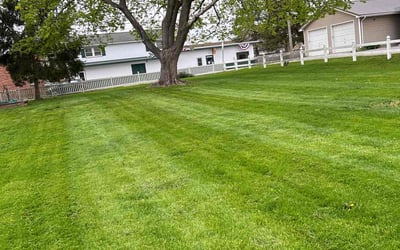 Photo of Ethan B.'s yard after getting lawn care in Dover, PA