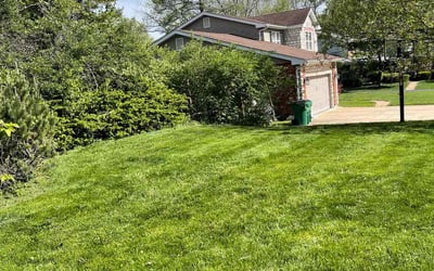 Photo of Deb P.'s yard after getting lawn care in Affton, MO