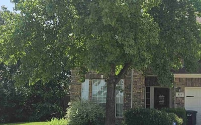 Photo of Anna S.'s yard after getting lawn care in Mesquite, TX