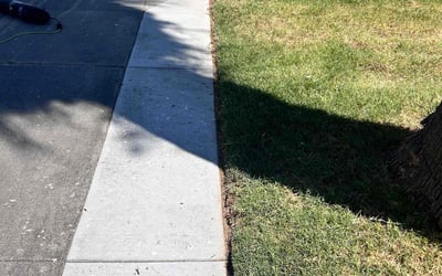 Photo of Syed H.'s yard after getting lawn care in Covina, CA