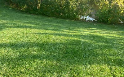 Photo of Janis L.'s yard after getting lawn care in Golden Valley, MN